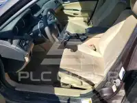 2011 Honda Accord photo