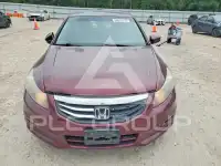 2011 Honda Accord фото