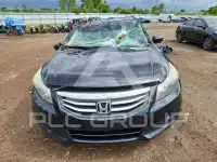 2011 Honda Accord photo