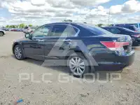 2011 Honda Accord photo
