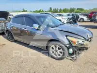 2011 Honda Accord фото