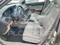 2011 Honda Accord photo
