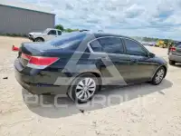 2011 Honda Accord фото