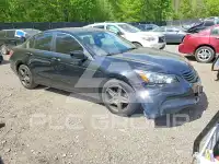 2011 Honda Accord фото
