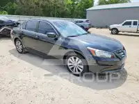 2011 Honda Accord фото