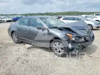 2011 Honda Accord photo