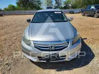 2011 Honda Accord photo