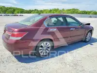 2011 Honda Accord фото
