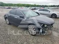 2011 Honda Accord photo