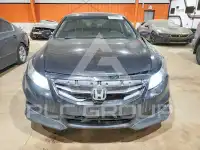 2011 Honda Accord фото