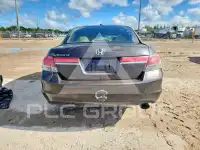2011 Honda Accord photo
