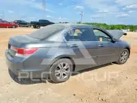 2011 Honda Accord photo