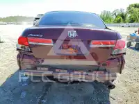 2011 Honda Accord photo