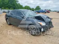 2011 Honda Accord фото