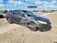 2011 Honda Accord photo