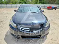 2011 Honda Accord фото