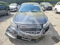 2011 Honda Accord фото