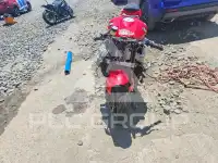 2011 Honda CBR photo