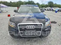 2011 Audi Q5 фото