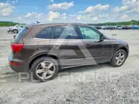 2011 Audi Q5 фото