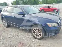 2011 Audi Q5 photo