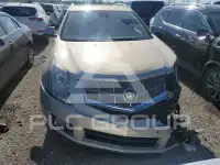 2011 Cadillac SRX фото