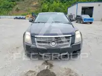 2011 Cadillac CTS фото