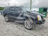 2011 Cadillac ESCALADE photo