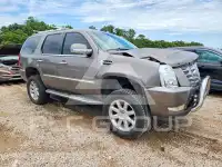 2011 Cadillac ESCALADE photo