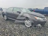 2011 Lexus ES350 фото