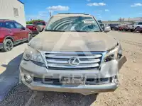 2011 Lexus GX фото