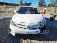 2011 Toyota COROLLA фото