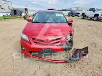 2011 Toyota COROLLA фото