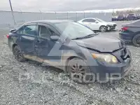 2011 Toyota COROLLA фото