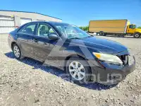 2011 Toyota CAMRY фото