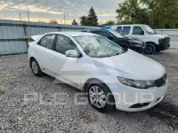 2011 KIA Forte photo