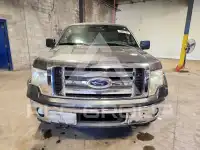 2011 Ford F-150 photo