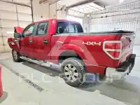 2011 Ford F-150 фото