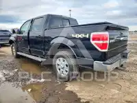 2011 Ford F-150 photo