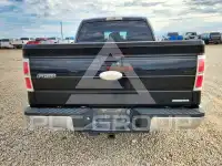 2011 Ford F-150 photo