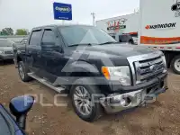 2011 Ford F-150 photo