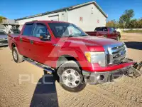 2011 Ford F-150 фото