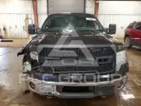 2011 Ford F-150 photo