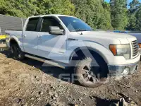 2011 Ford F-150 photo