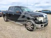2011 Ford F-150 photo