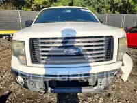 2011 Ford F-150 photo