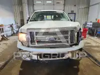 2011 Ford F-150 фото