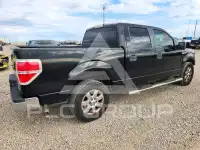 2011 Ford F-150 photo
