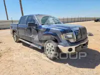 2011 Ford F-150 photo