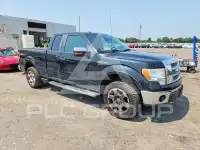 2011 Ford F-150 photo